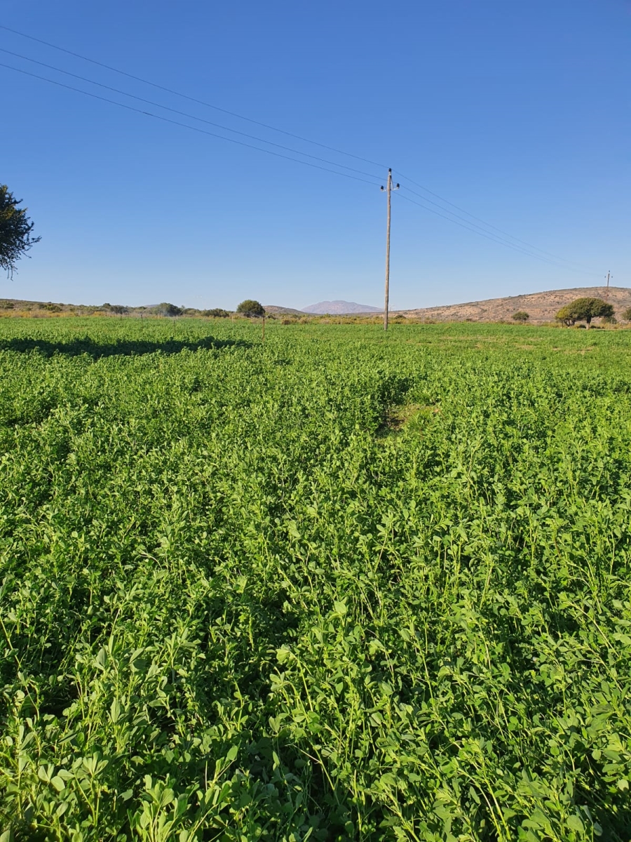 5 Bedroom Property for Sale in Ladismith Rural Western Cape